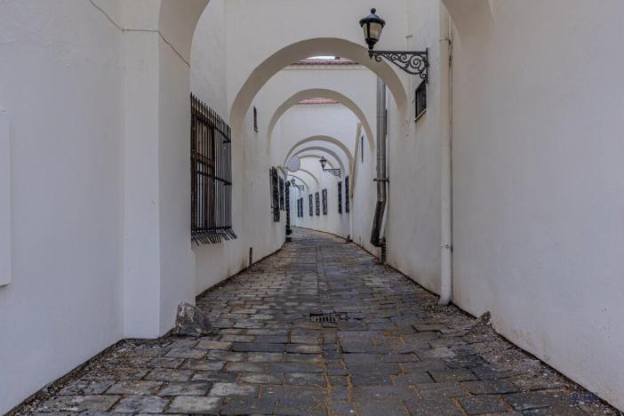 Prodej vícegeneračního domu, Vyškov - Vyškov-Město, Masarykovo náměstí, 1603 m2