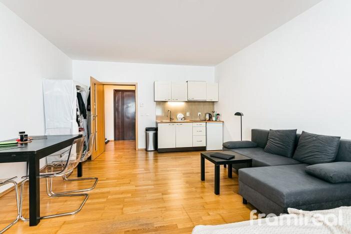 Pronájem bytu 1+kk, Brno, Palackého třída, 42 m2