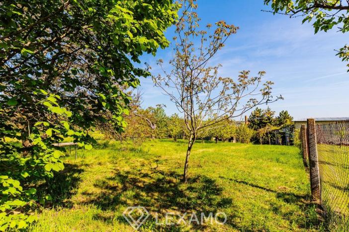 Prodej zahrady, Šatov, 877 m2