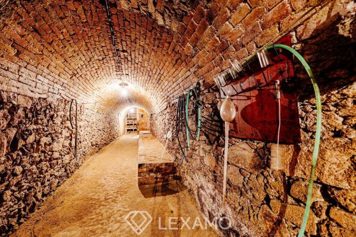 Prodej zahrady, Šatov, 877 m2