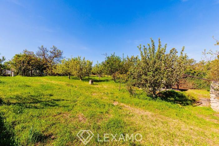 Prodej zahrady, Šatov, 877 m2