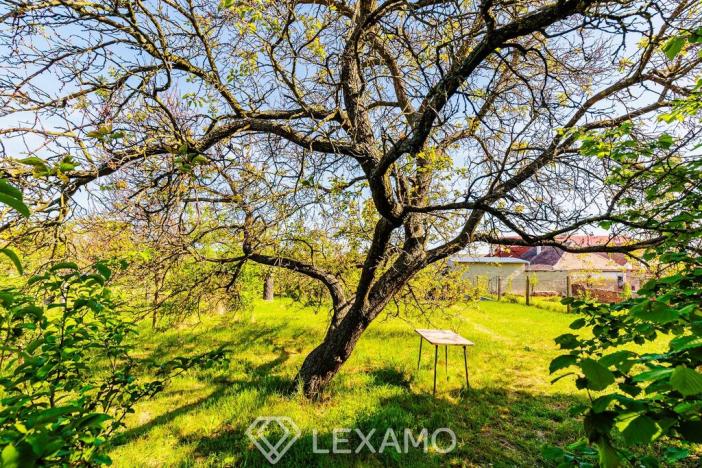 Prodej zahrady, Šatov, 877 m2