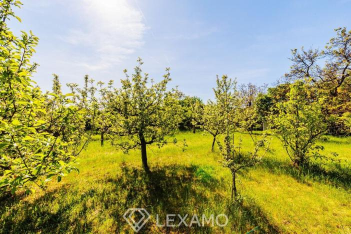 Prodej zahrady, Šatov, 877 m2