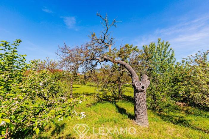 Prodej zahrady, Šatov, 877 m2