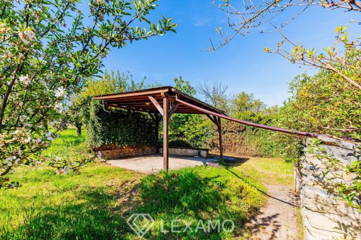 Prodej zahrady, Šatov, 877 m2