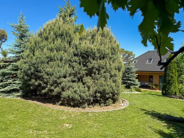 Prodej rodinného domu, Těmice, 252 m2