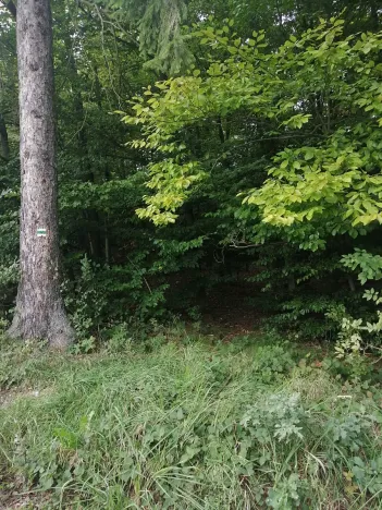 Prodej pozemku pro bydlení, Hradištko, Na Vrcholu, 1486 m2