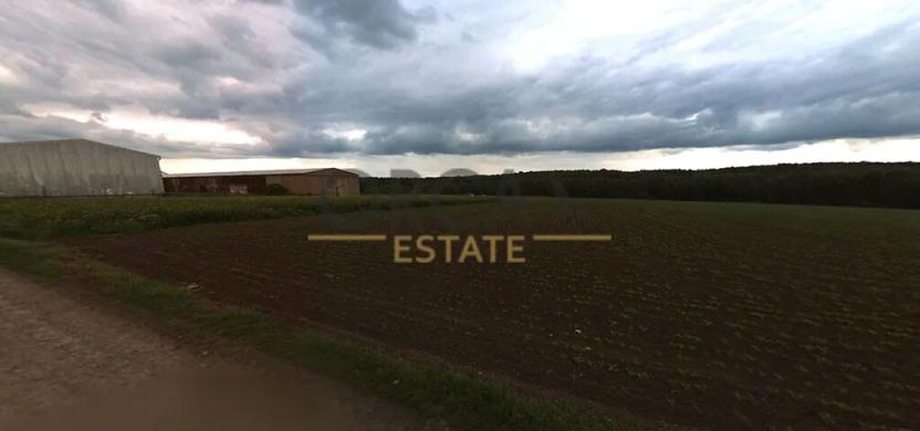 Prodej podílu pole, Stěbořice, 2468 m2