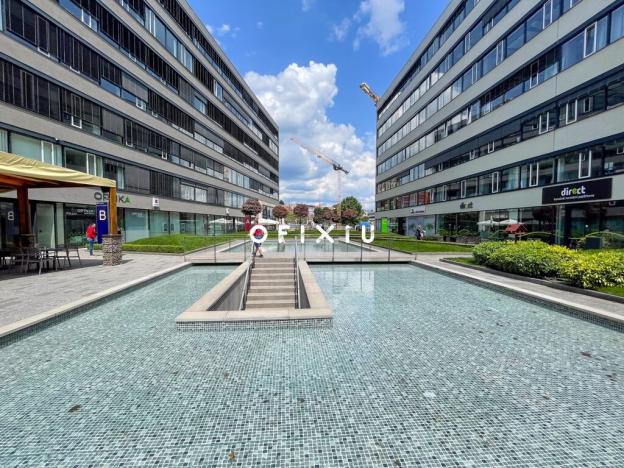 Pronájem obchodního prostoru, Brno - Staré Brno, Nové sady, 520 m2