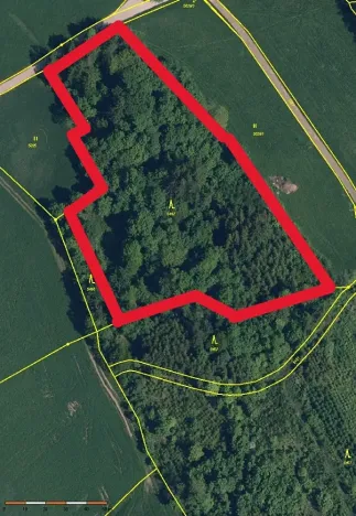 Prodej rodinného domu, Lomnice nad Popelkou, Stružinecká, 777 m2