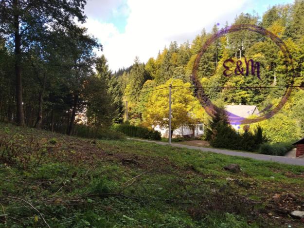 Prodej pozemku pro bydlení, Červená Voda - Moravský Karlov, 1374 m2