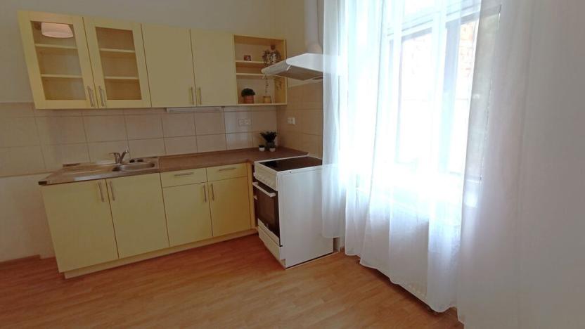 Pronájem bytu 1+1, České Budějovice - České Budějovice 5, Dobrovodská, 45 m2