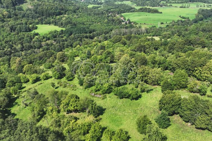 Prodej louky, Vojkovice - Jakubov, 399465 m2