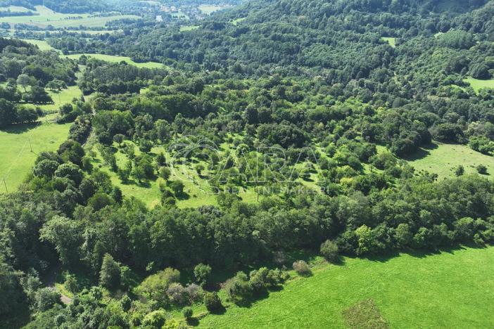 Prodej louky, Vojkovice - Jakubov, 399465 m2