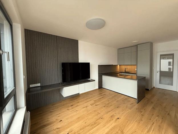 Pronájem bytu 2+kk, Praha - Nusle, Závišova, 45 m2