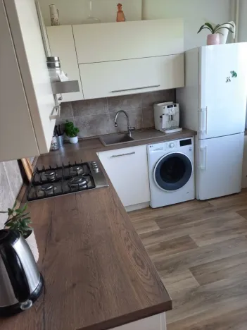 Pronájem bytu 2+1, České Budějovice - České Budějovice 3, Plzeňská, 62 m2