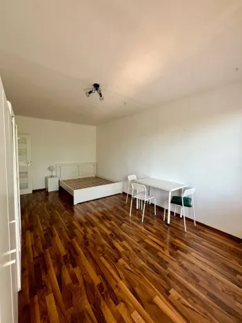 Pronájem bytu 2+1, České Budějovice - České Budějovice 3, Plzeňská, 62 m2