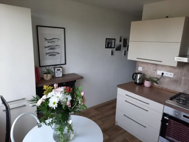 Pronájem bytu 2+1, České Budějovice - České Budějovice 3, Plzeňská, 62 m2