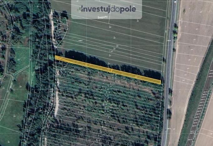 Prodej louky, Řípec, 2191 m2