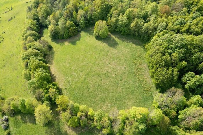 Prodej louky, Děčín, 27274 m2