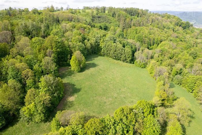 Prodej louky, Děčín, 27274 m2