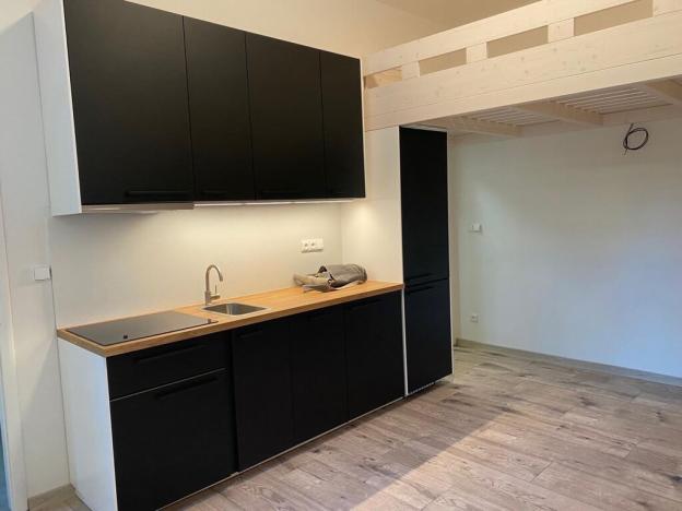Pronájem bytu 1+kk, Praha - Holešovice, Letohradská, 23 m2