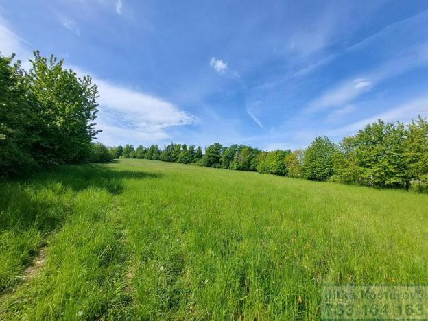 Prodej pole, Sosnová, 19783 m2
