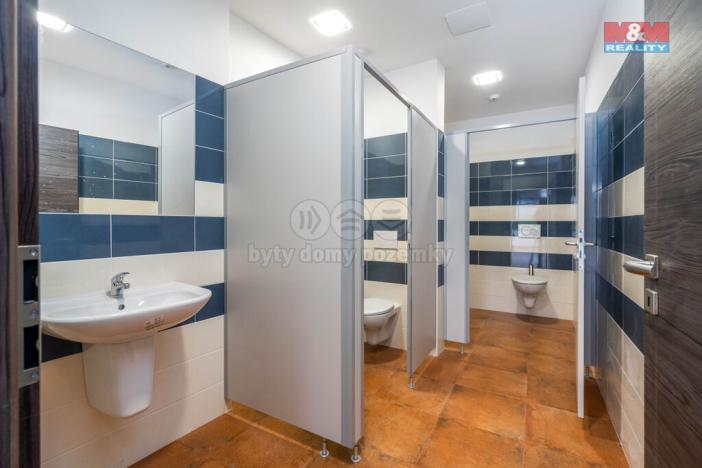 Prodej rodinného domu, Okrouhlo, 1076 m2