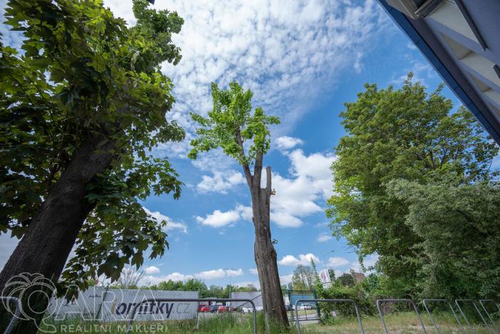 Pronájem kanceláře, Brno, Bohunická, 2038 m2