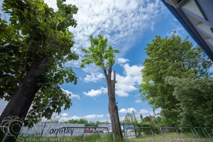 Pronájem kanceláře, Brno, Bohunická, 240 m2