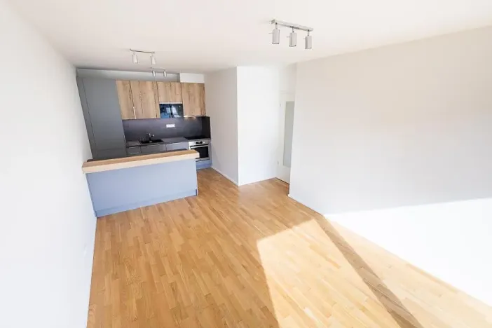 Prodej bytu 3+kk, Praha - Žižkov, Seifertova, 70 m2