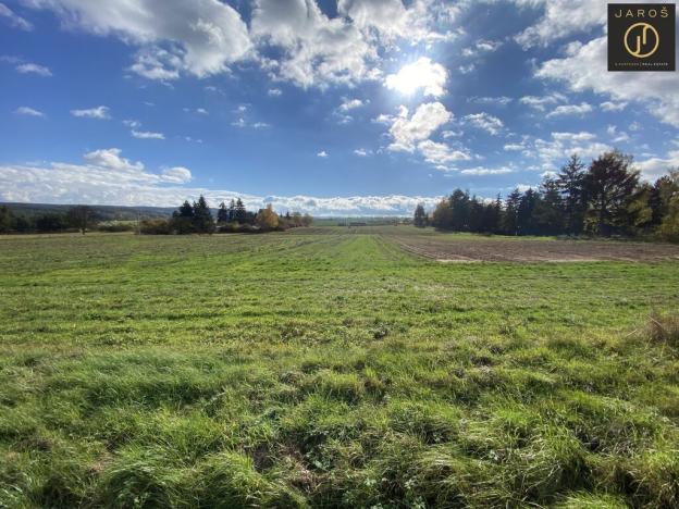 Prodej pozemku pro bydlení, Lužná, 1002 m2