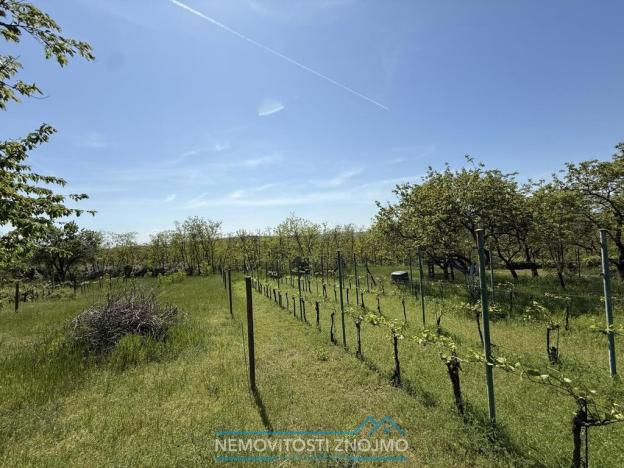 Prodej zahrady, Dobšice, 650 m2