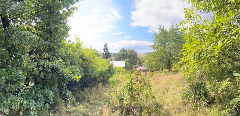 Prodej pozemku pro bydlení, Křečovice - Poličany, 1628 m2