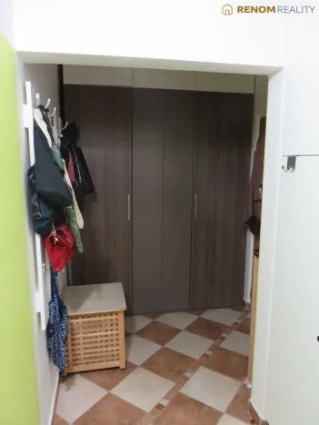 Pronájem bytu 1+1, Olomouc, Foerstrova, 41 m2