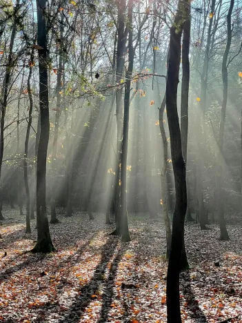 Prodej pozemku pro bydlení, Louňovice, Za Hřištěm, 1040 m2
