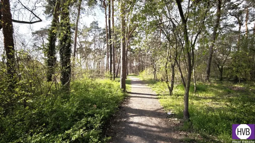 Prodej rodinného domu, Neratovice, Mládežnická, 174 m2