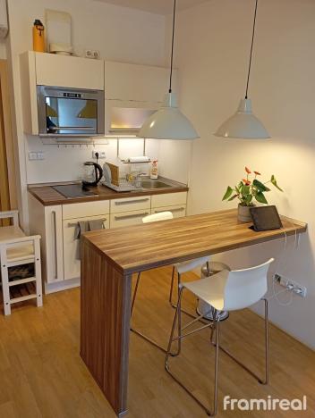 Pronájem bytu 1+kk, Brno, Táborská, 25 m2
