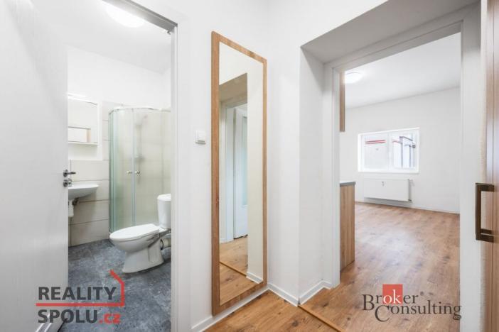 Prodej bytu 1+kk, Ostrava - Přívoz, Palackého, 27 m2