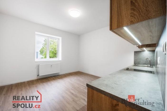 Prodej bytu 1+kk, Ostrava - Přívoz, Palackého, 23 m2