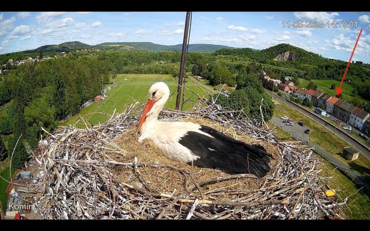 Prodej rodinného domu, Rtyně nad Bílinou, 120 m2