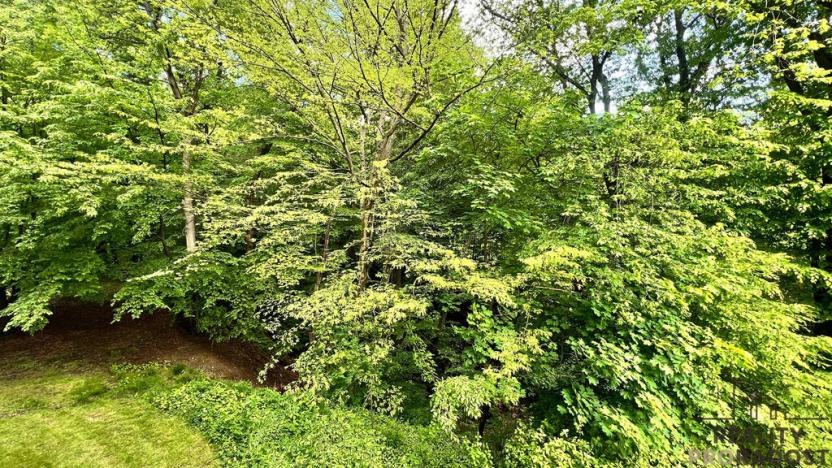 Prodej bytu 4+1, Třinec, Sosnová, 80 m2