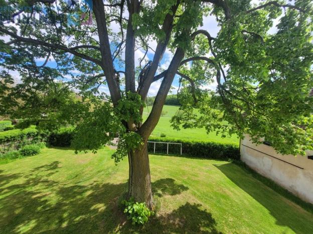 Prodej rodinného domu, Homole u Panny - Bláhov, 300 m2