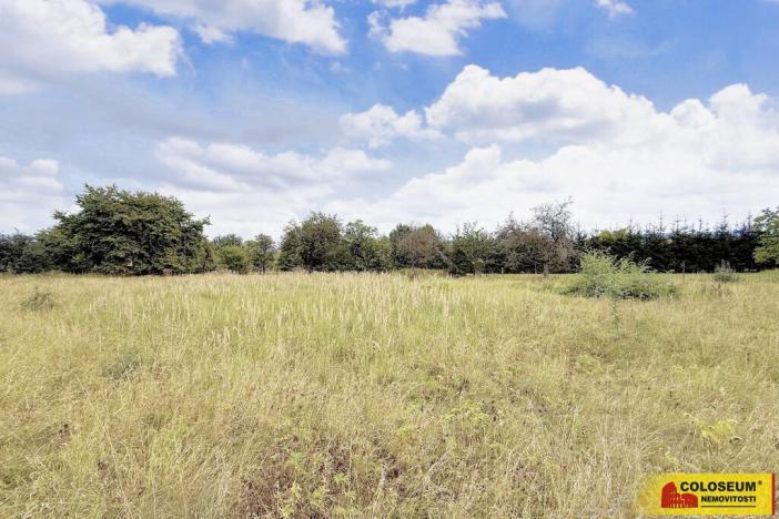 Prodej pozemku pro bydlení, Sebranice, 2000 m2