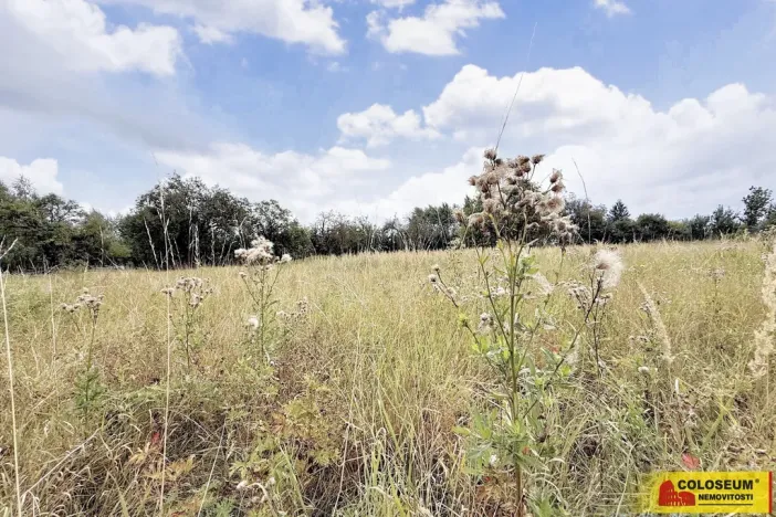 Prodej pozemku pro bydlení, Sebranice, 2000 m2