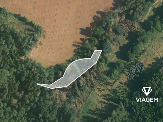 Prodej lesa, Jablonná, 1886 m2