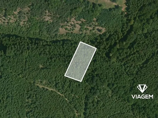 Prodej podílu lesa, Řendějov, 844 m2