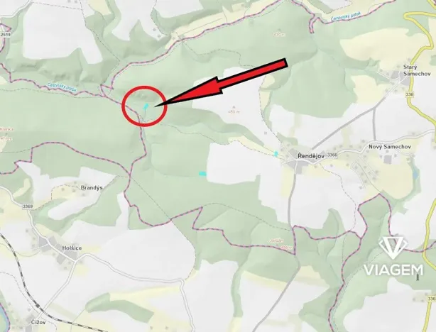 Prodej podílu lesa, Řendějov, 844 m2