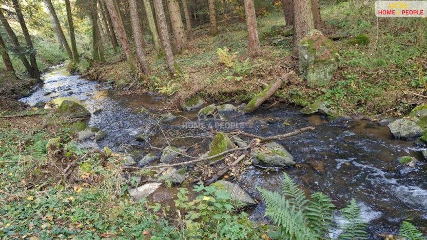 Prodej chaty, Dolní Hbity - Horní Líšnice, 58 m2