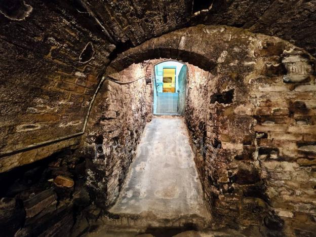 Prodej - jiné, Zaječí, Dolní, 169 m2